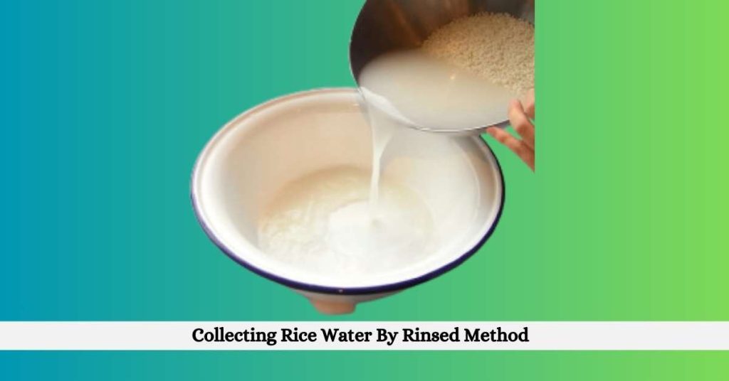Rice water by rinsed methods for plants